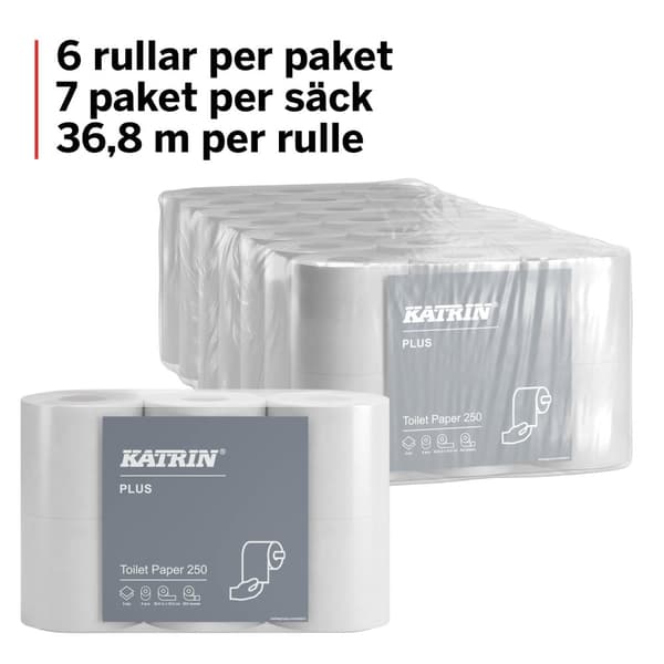 Toalettpapper KATRIN Plus 250 42/fp