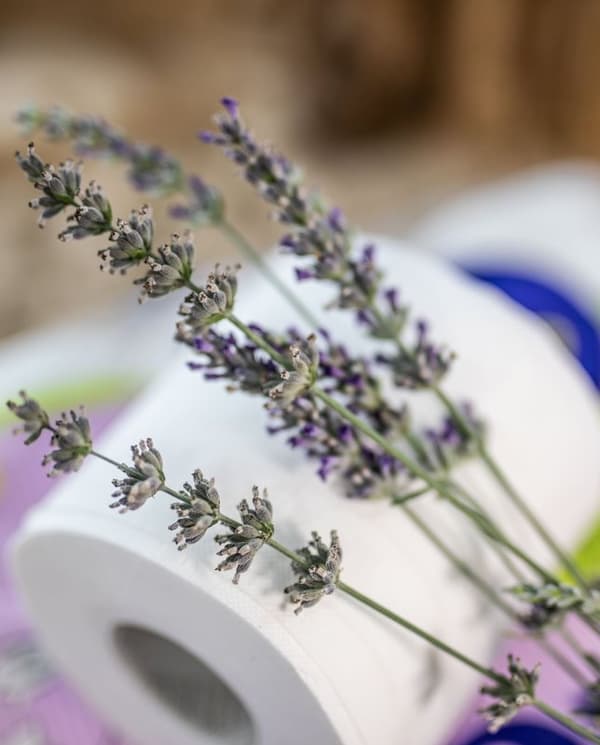 Renova Skin Care Lavender 12R wc-paperi