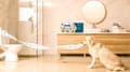 Miniatyrbillede 5 af 11: Mola Will UPS toiletpapir, 3w cellulose 8 stk.