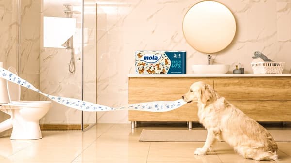 Mola Will UPS toiletpapir, 3w cellulose 8 stk.