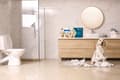 Miniatyrbillede 9 af 11: Mola Will UPS toiletpapir, 3w cellulose 8 stk.