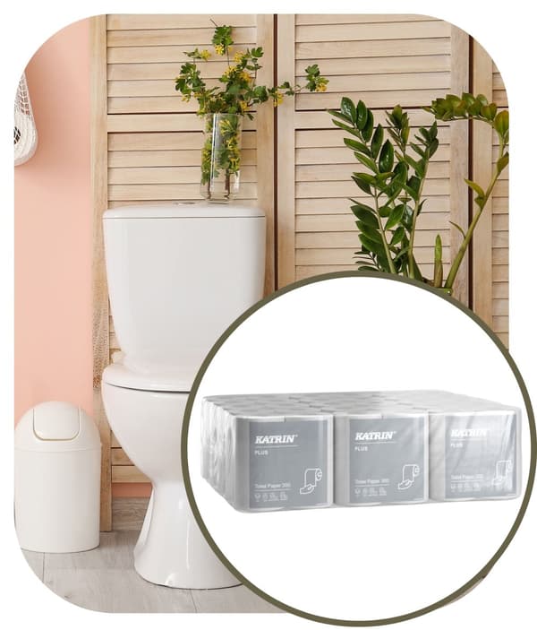 Katrin toalettpapper, 300 ark, 3w, 60 st.