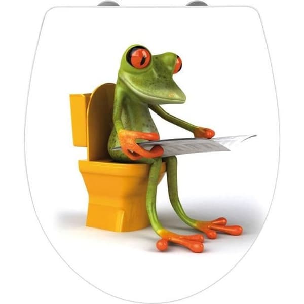 WENKO Original Frog toalettsits, toalettsits med fallskydd, clip-on fäste i rostfritt stål, Duroplast akryl, 39x45 cm