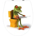 Miniatyrbild 1 av 4: WENKO Original Frog toalettsits, toalettsits med fallskydd, clip-on fäste i rostfritt stål, Duroplast akryl, 39x45 cm