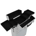 Miniatyrbilde 9 av 10: vidaXL Sminketralle aluminium sølv