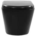 Miniatyrbillede 9 af 11: vidaXL væghængt toilet med skjult cisterne keramisk sort -  Toiletter