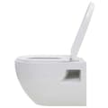 Pikkukuva 8 / 11: vidaXL Seinään kiinnitettävä WC piilotettu korkea säiliö keraaminen -  WC:t