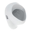 Miniatyrbild 1 av 2: Geberit Urinoarer Urinal, bakre vattenanslutning, vit 502.895.00.1