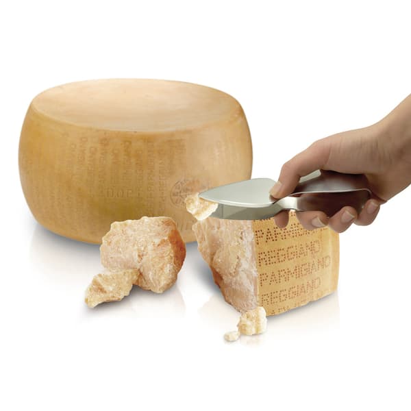 Parmesan knife-tong I GENIETTI