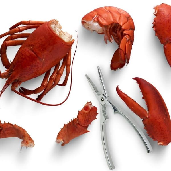 Krabb- och hummertång 17 cm Fackelmann