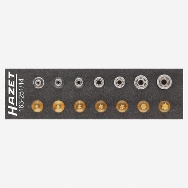 Hazet Jeu Carré Creux 6,3 mm (1/4 Tum) utvändigt, Profil TORX invändigt Antal verktyg: 14, Flerfärgad -