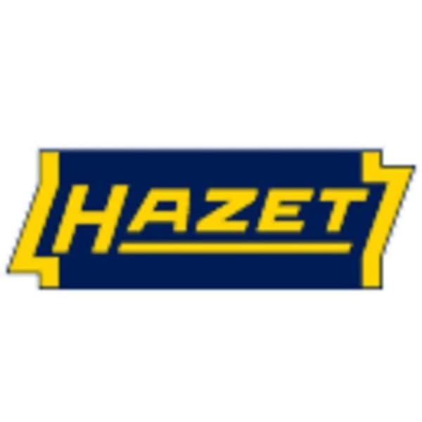 Hazet 163-525-40 kombinationsnyckelsats - Hazet varumärke - Mått 519 x 392 mm - 12-punktsspets