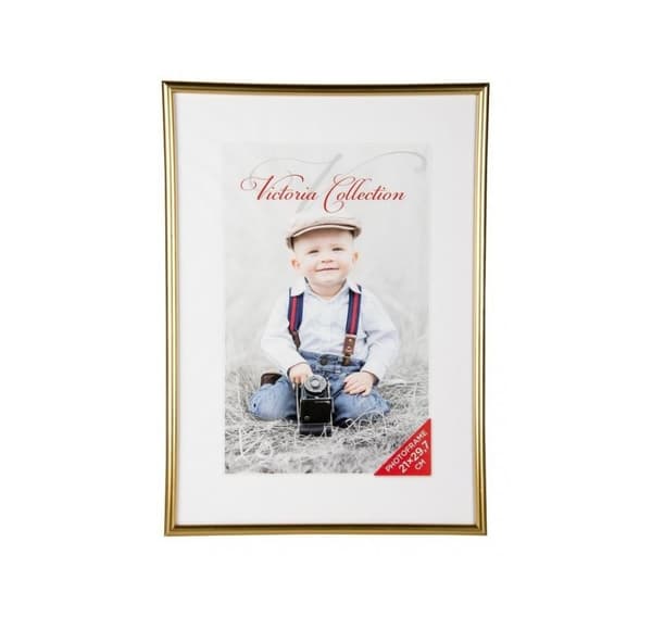 Fotoram Future 21x29,7, guld