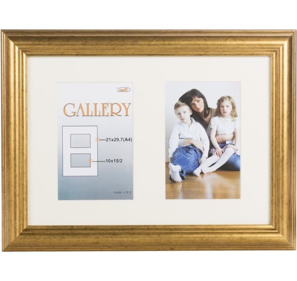 Fotoram Ema Gallery 21x29,7/2/10x15, guld (VF3967)