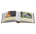 Miniatyrbild 2 av 3: Album B 10x15/100M Blomma, brons