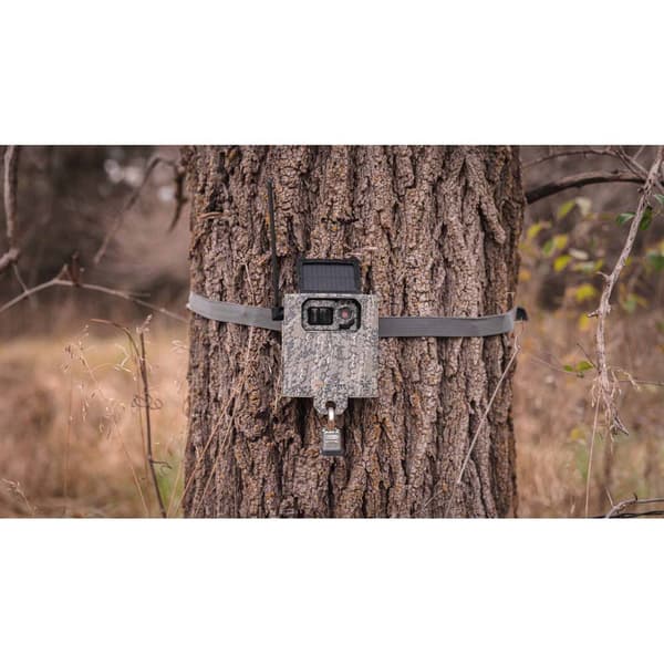 Spypoint Teräslaatikko Sb-300 Harmaa