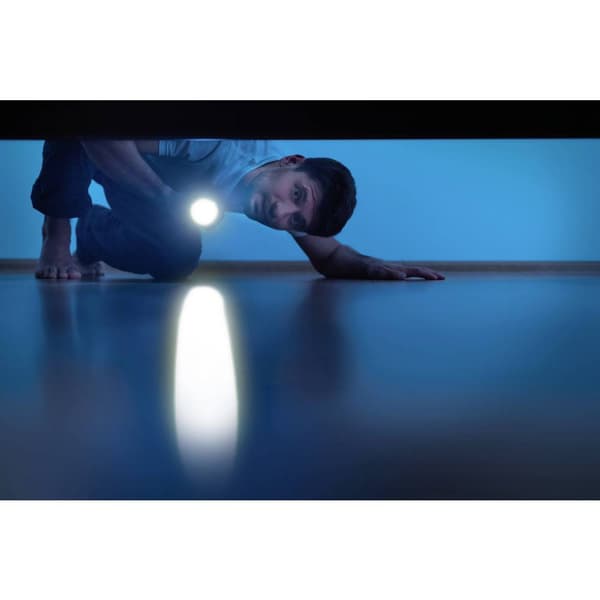 Ansmann Daily Use 50B LED Ficklampa batteri 56 lm 16.5 h 41 g