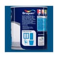 Miniatyrbild 3 av 8: Fernissa Bruguer 5057545 750 ml Ytlack - Högkvalitativ färg med 750 ml volym för professionell användning. Skyddar ytor med långvarigt resultat.