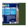 Miniatyrbild 2 av 8: Akryllack Bruguer 5057506 Galicia Grön 750 ml Satinfinish - Hållbar färg i satinfinish för ditt hem.