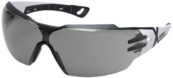 Skyddsglasögon Uvex Pheos CX2; gråa