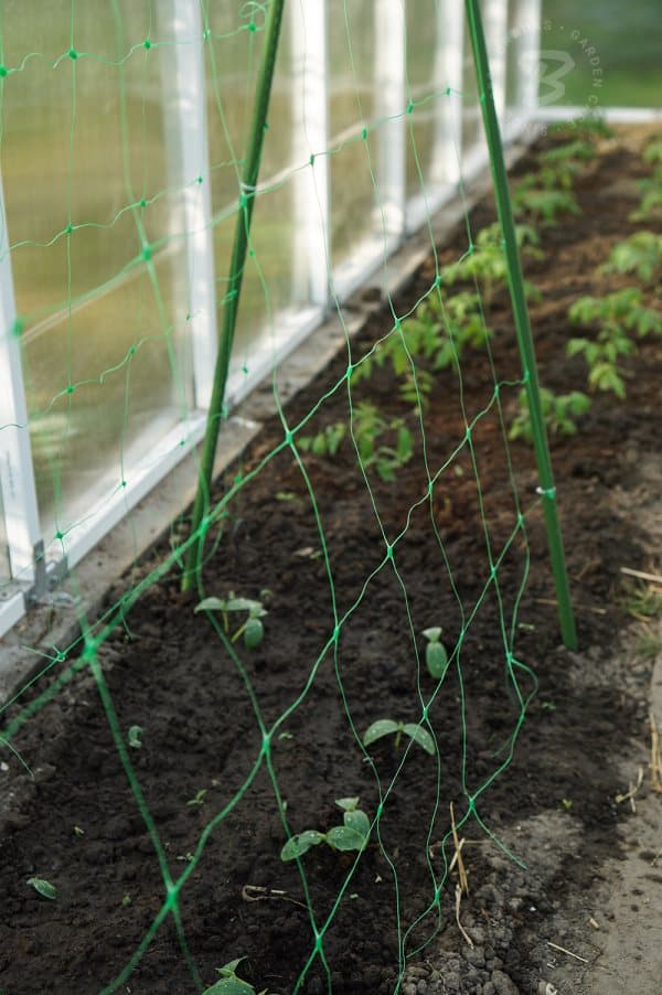 PLANTNET STÖDNET FÖR KLÄTTERVÄXTER 2x20m