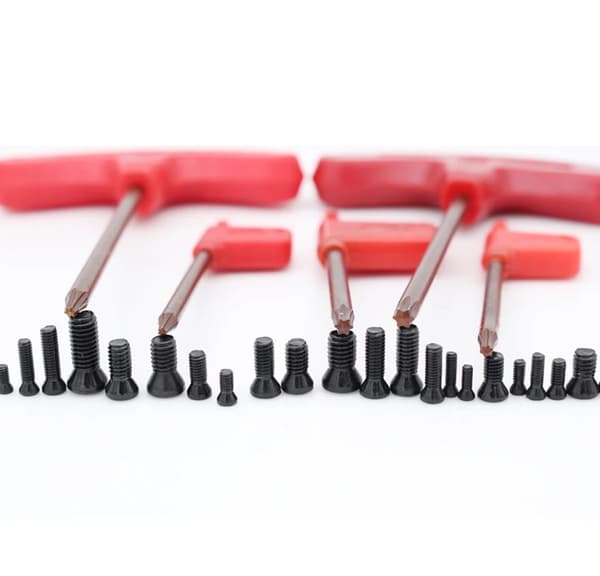 Skrue til fastgørelse af vendbare indsatser M2,5x10 mm TORX T8 12,9