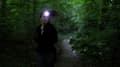 Miniatyrbillede 3 af 10: LED-pandelampe LuxPremium KL 100 EM1178760