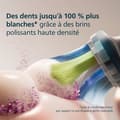 Miniatyrbild 6 av 6: Paket med 4 borsthuvuden - PHILIPS - HX9044/88 - C3 svart