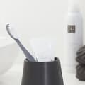 Miniatyrbilde 5 av 11: Sealskin Conical tannglass