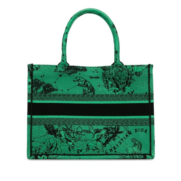 Pre-owned Dior Medium Embroidered Canvas Book Tote Green