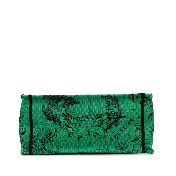 Pre-owned Dior Medium Embroidered Canvas Book Tote Green
