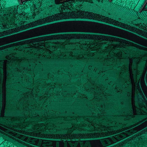 Pre-owned Dior Medium Embroidered Canvas Book Tote Green