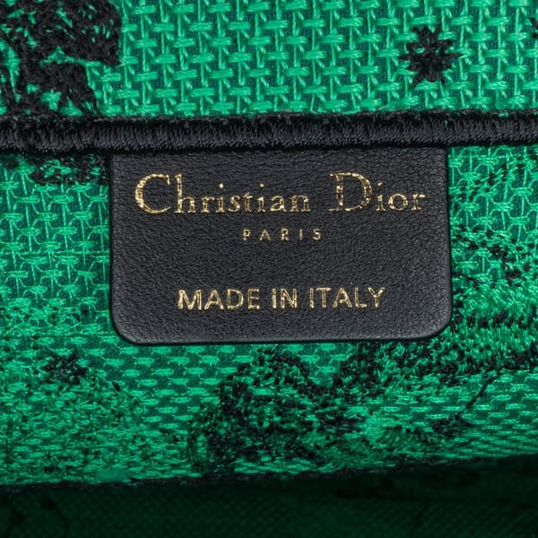 Pre-owned Dior Medium Embroidered Canvas Book Tote Green