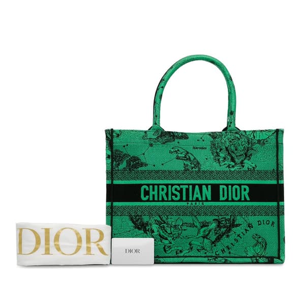 Pre-owned Dior Medium Embroidered Canvas Book Tote Green