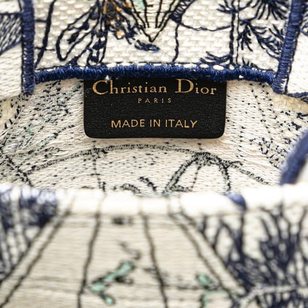 Pre-owned Dior Embroidered Canvas Around The World Vertical Book Tote Blue