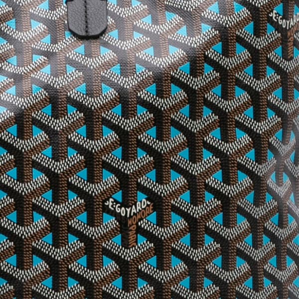 Pre-owned Goyard Goyardine Claire Voie Saint Louis PM Black