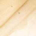 Miniatyrbillede 6 af 10: Pre-owned Gucci GG Canvas Sukey Tote Brown