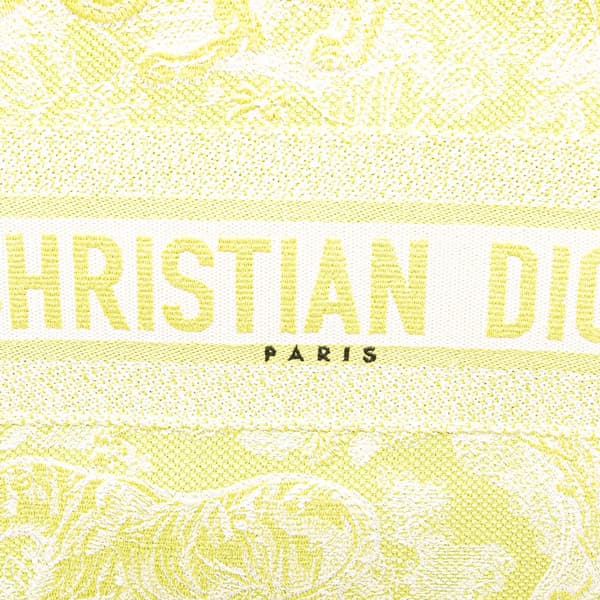 Pre-owned Dior Medium Canvas Embroidered Dioriviera Toile De Jouy Book Tote Green