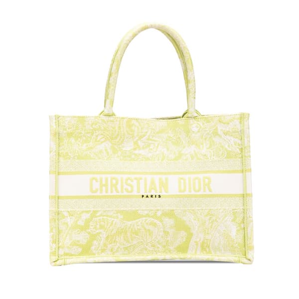 Pre-owned Dior Medium Canvas Embroidered Dioriviera Toile De Jouy Book Tote Green