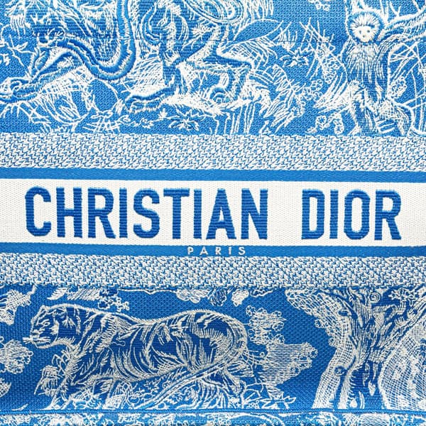 Pre-owned Dior Medium Canvas Embroidered Dioriviera Toile De Jouy Book Tote Blue