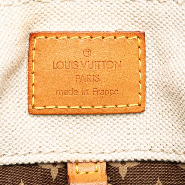 Pre-owned Louis Vuitton Cruise Line Globe Shopper Tote MM Brown