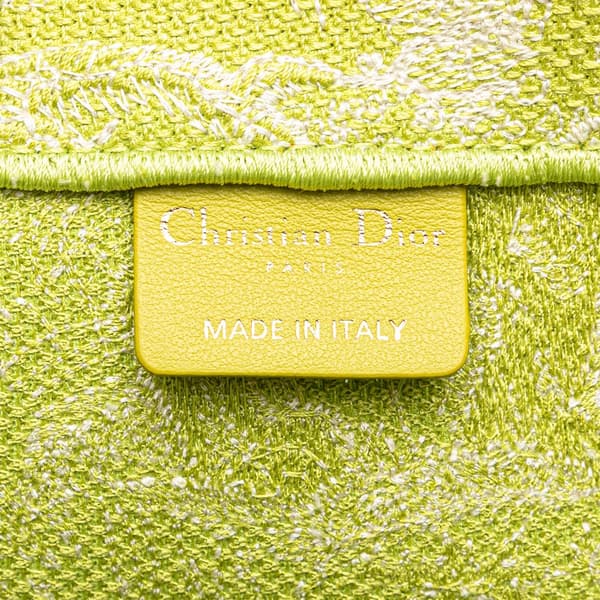 Pre-owned Dior Medium Canvas Embroidered Dioriviera Toile De Jouy Book Tote Green