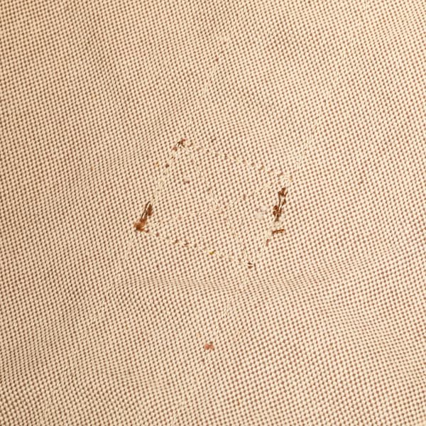Pre-owned Hermès Toile Bora Bora Tote GM Brown