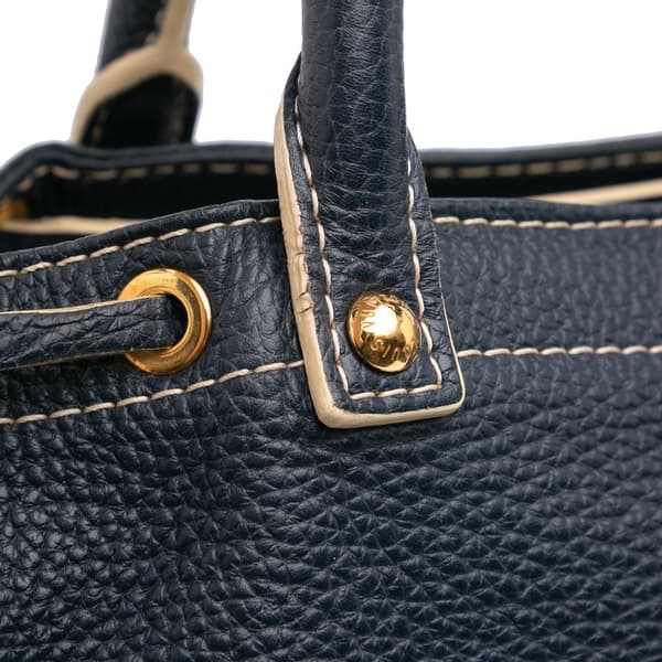 Pre-owned Louis Vuitton Tobago Trunks and Bags Shoe Bag Blue
