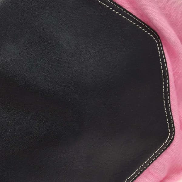 Pre-owned Celine Smooth Calfskin and Canvas Tie Dye Frame Tote Pink