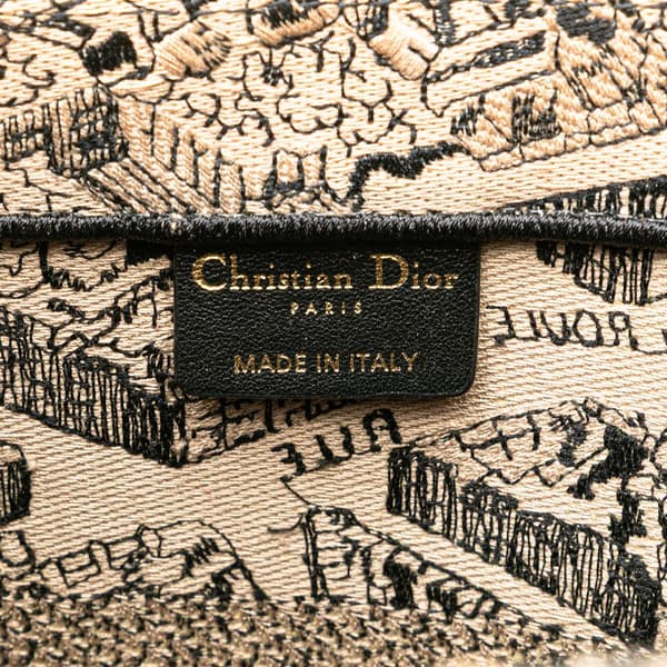 Pre-owned Dior Medium Embroidered Canvas Plan de Paris Book Tote Brown
