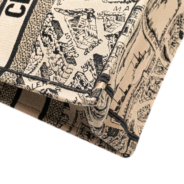 Pre-owned Dior Medium Embroidered Canvas Plan de Paris Book Tote Brown