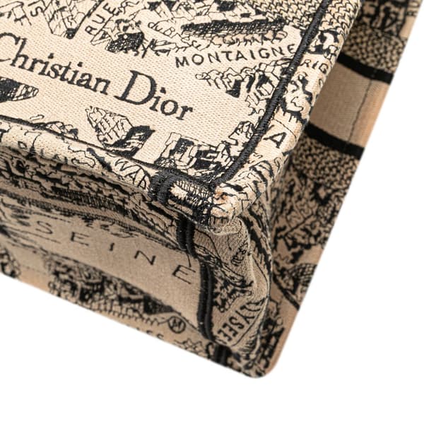 Pre-owned Dior Medium Embroidered Canvas Plan de Paris Book Tote Brown