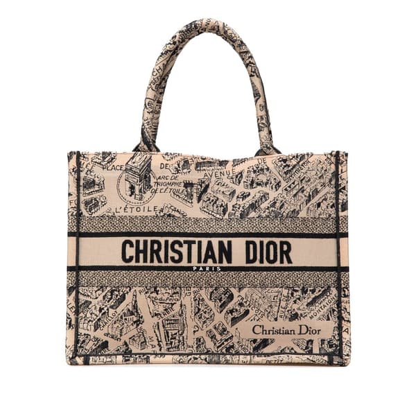 Pre-owned Dior Medium Embroidered Canvas Plan de Paris Book Tote Brown
