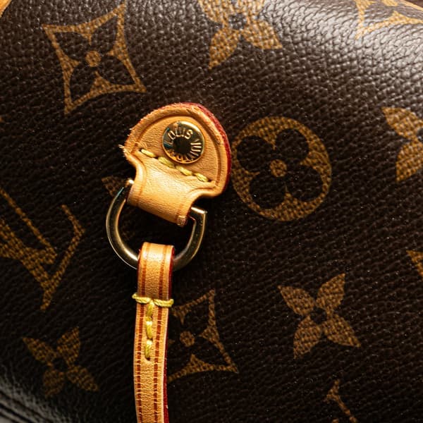 Pre-owned Louis Vuitton Monogram Neverfull MM Brown